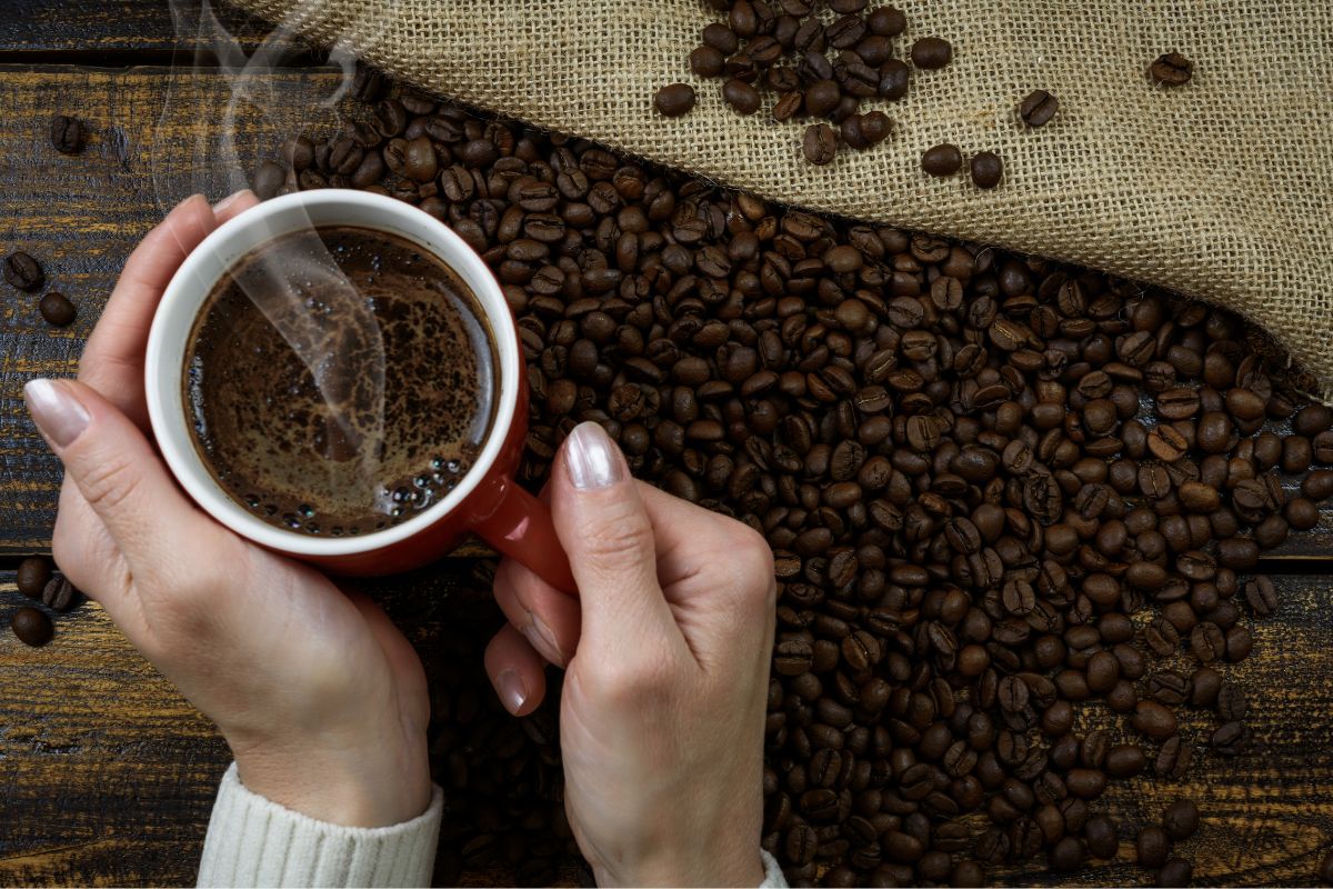 From Bean to Brew: Unveiling the Three Births of Exceptional Coffee